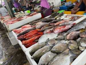 Pasar Ikan Kedonganan